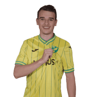 Premier League Soccer Sticker by Norwich City Football Club