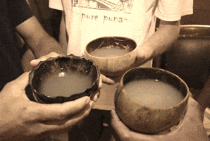 HawaiianAffairs drink cup kava apu GIF