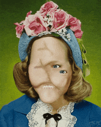 GIF by Brandon Muir