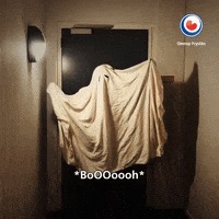 fries frysk GIF by Omrop Fryslân