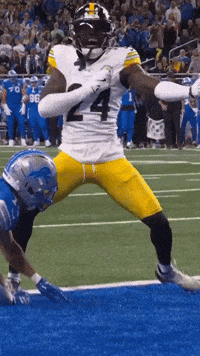 Excited Celebration GIF by Pittsburgh Steelers