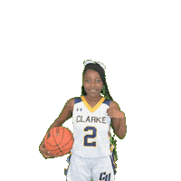 Clarke Athletics Sticker by Clarke University