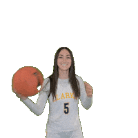 Clarke Athletics Sticker by Clarke University