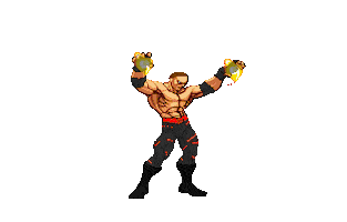 wwe STICKER