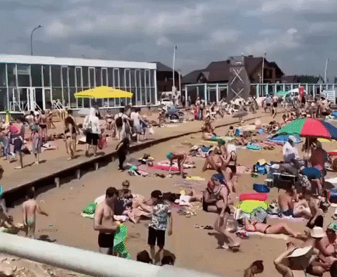 nizamov121090 giphyupload GIF