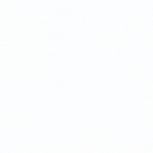 Twiniversity giphyupload twins GIF