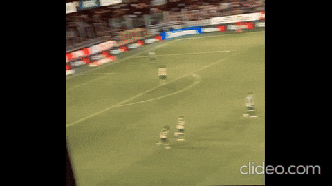 panagiwthsxatzhs giphyupload GIF