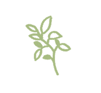 Green Leaf Plant Sticker