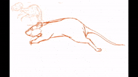 RAT RUN