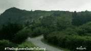 New Year New Movies GIF by Hallmark Channel
