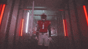 Football GIF by Wisconsin Badgers