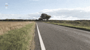 Performance Experience GIF by Harley-Davidson