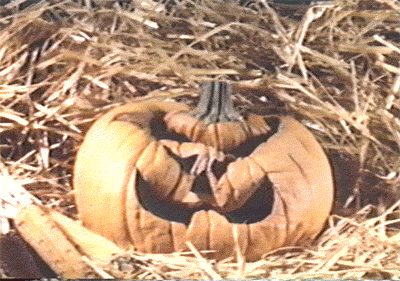 marsplastic halloween jack o lantern inflatable GIF