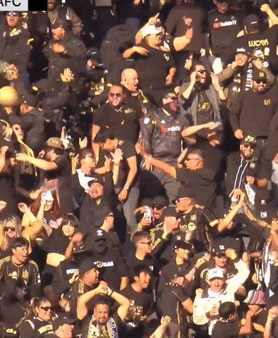 Supporters Lafc Fans GIF by Major League Soccer