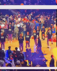 Lebron Legoat GIF