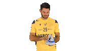 Volleyball Ver Sticker by Verona Volley