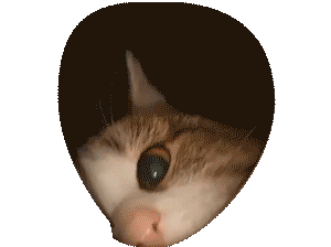 isakyn giphyupload Sticker