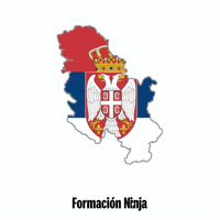 Flag Bandera GIF by Formación Ninja
