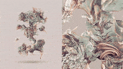 GIF by Digg