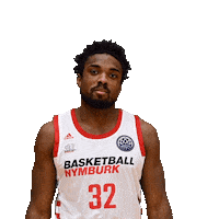 Swipe Up Champions League Sticker by Basketball Nymburk