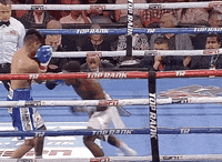 toprank fight fighting espn fighters GIF