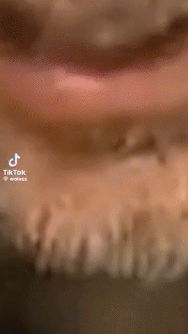 qwerpoiu22ppop giphyupload GIF