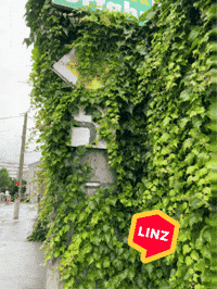 Jungle Wow GIF by Linz News