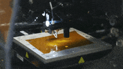Boise State College GIF by Boise State University