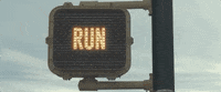 GIF by Run Film