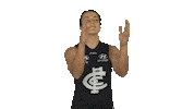 Goal Carltonfc Sticker by Carlton Football Club