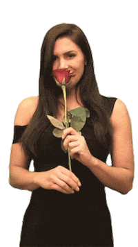 girl rose Sticker by 3+