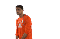 Stefanos Kapino Football Sticker by SV Werder Bremen
