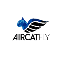 Escuela Sticker by AircatFly