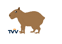Capivara Tvv Sticker by TV Votorantim