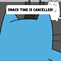 Sad White Cat GIF