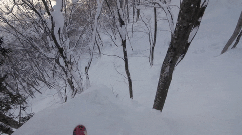 GIF by Red Bull