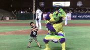 kccougars GIF by Kane County Cougars