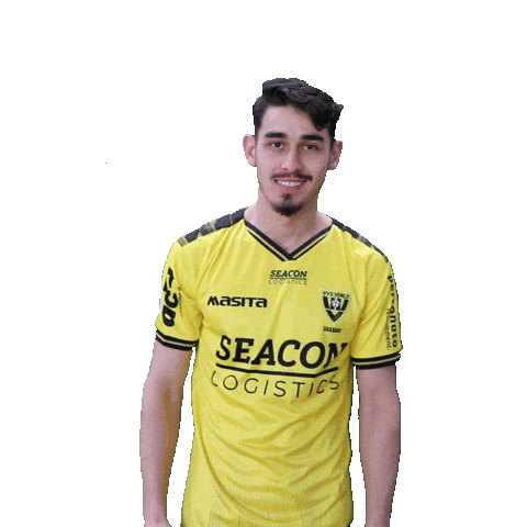 Wolverhampton Wanderers Fc Wolves Sticker by VVV-Venlo