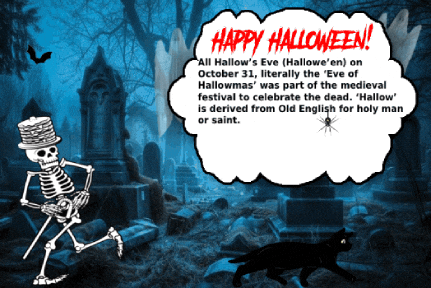 Black Cat Halloween GIF