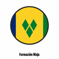 Saint Vincent And The Grenadines Flag GIF by Formación Ninja