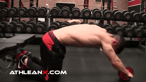 fitbodybuzz giphygifmaker GIF