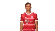 Bayern Munich What Sticker by Bundesliga
