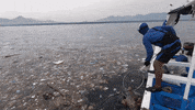 Earth Day GIF by 4ocean