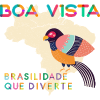 curtamarisol marisol boa vista brasilidade Sticker