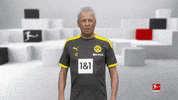 Posing Line Up GIF by Bundesliga