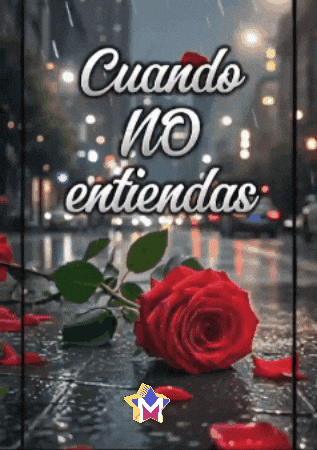 Flores Amigas GIF by Murcianys LLC