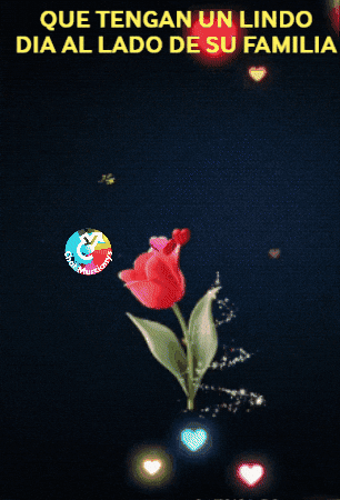 Dia Flores GIF by Murcianys LLC