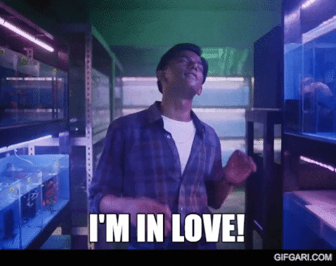 Happy In Love GIF by GifGari