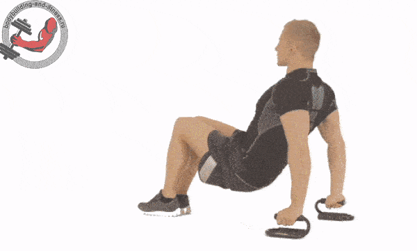 bodybuilding-and-fitness giphyupload otzhimaniya upory GIF
