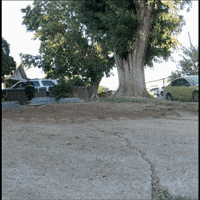 Tumbleweed Gorgon GIF